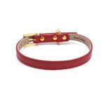 bd6d878096580cb9c29b2b18503c78a9