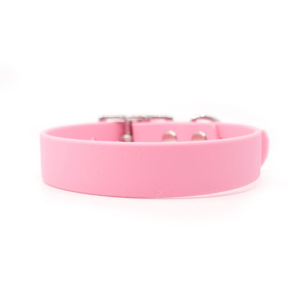 8f0f9902515956ff9e21887202a3650d