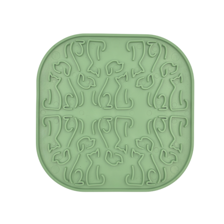 77587bfdc36aba3f4786a6f69f9045de